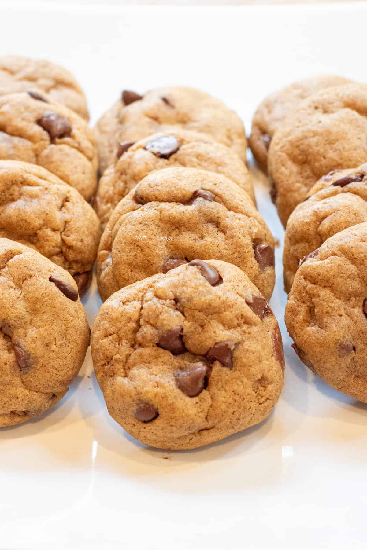 thick chocolate chips cookies on a plate.