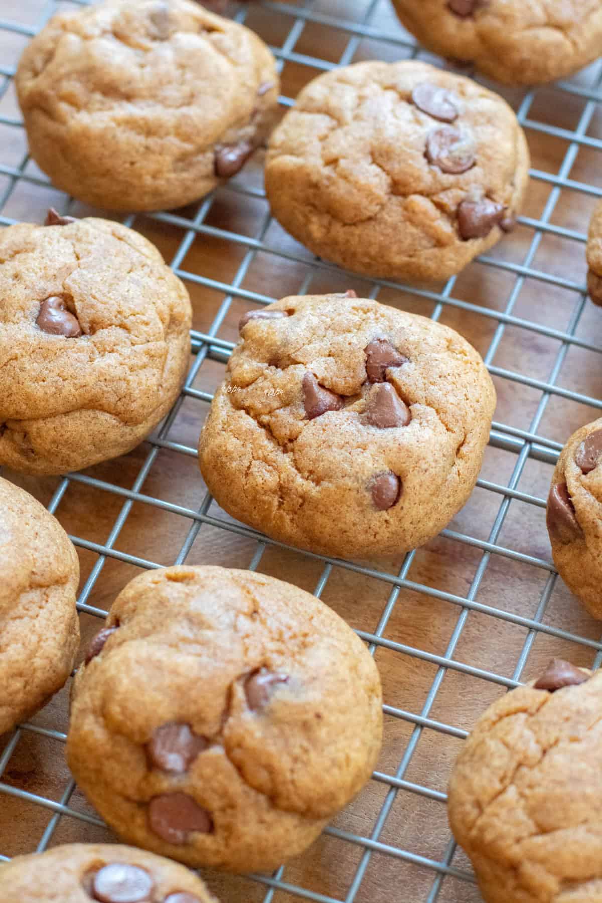 a round thick chocolate chip cookie on a cooling rack with other cookies.