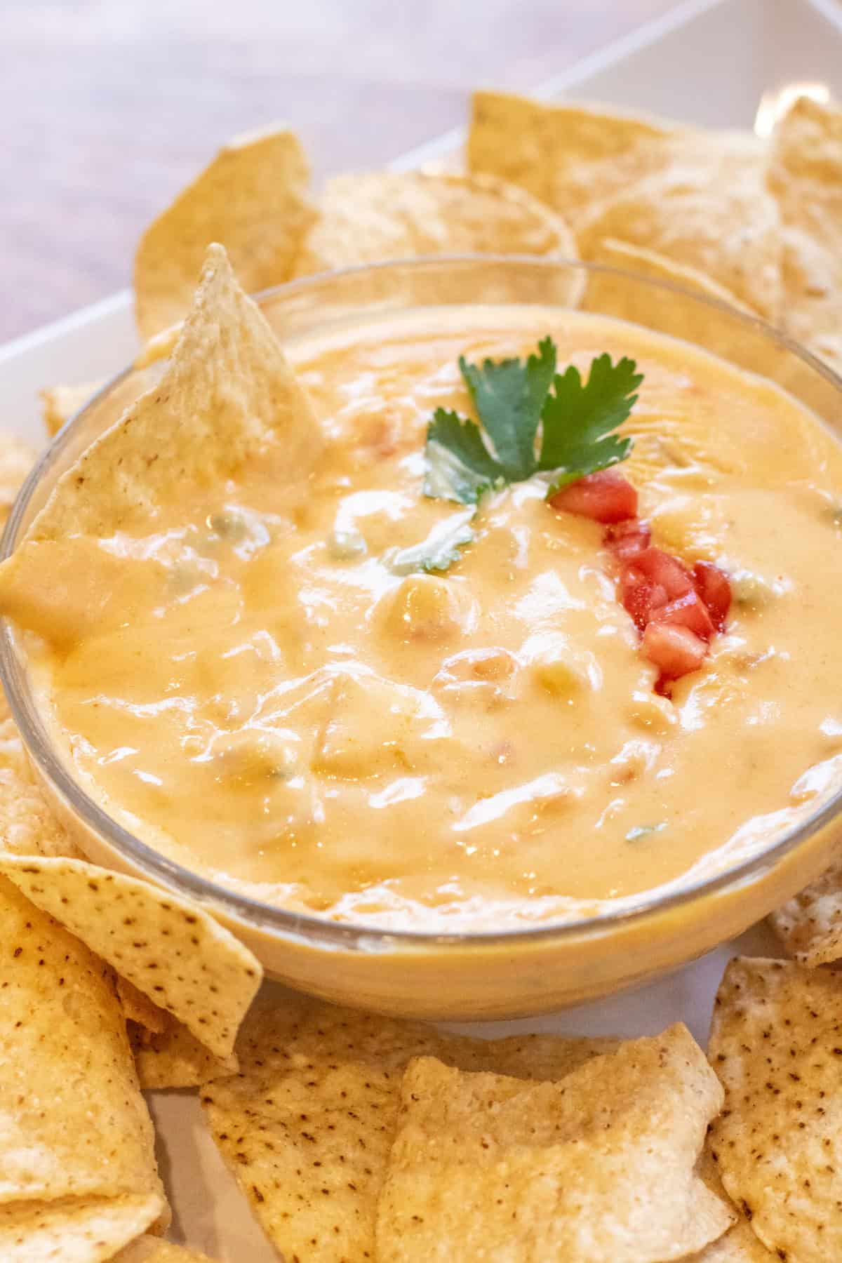 a bowl of creamy queso surrounded chips and with a chip in the bowl.
