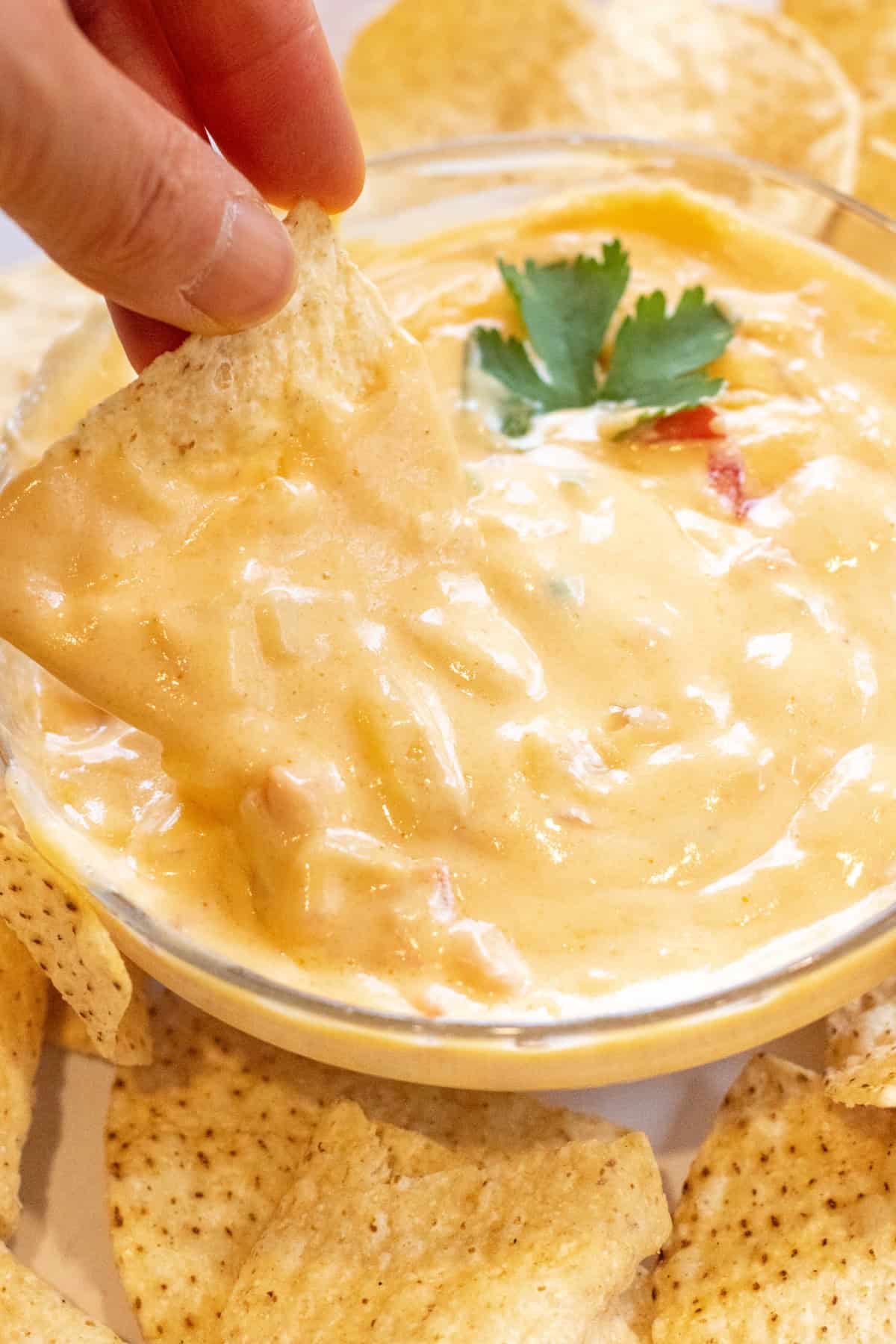 a bowl of creamy queso surrounded chips and with a chip in the bowl.