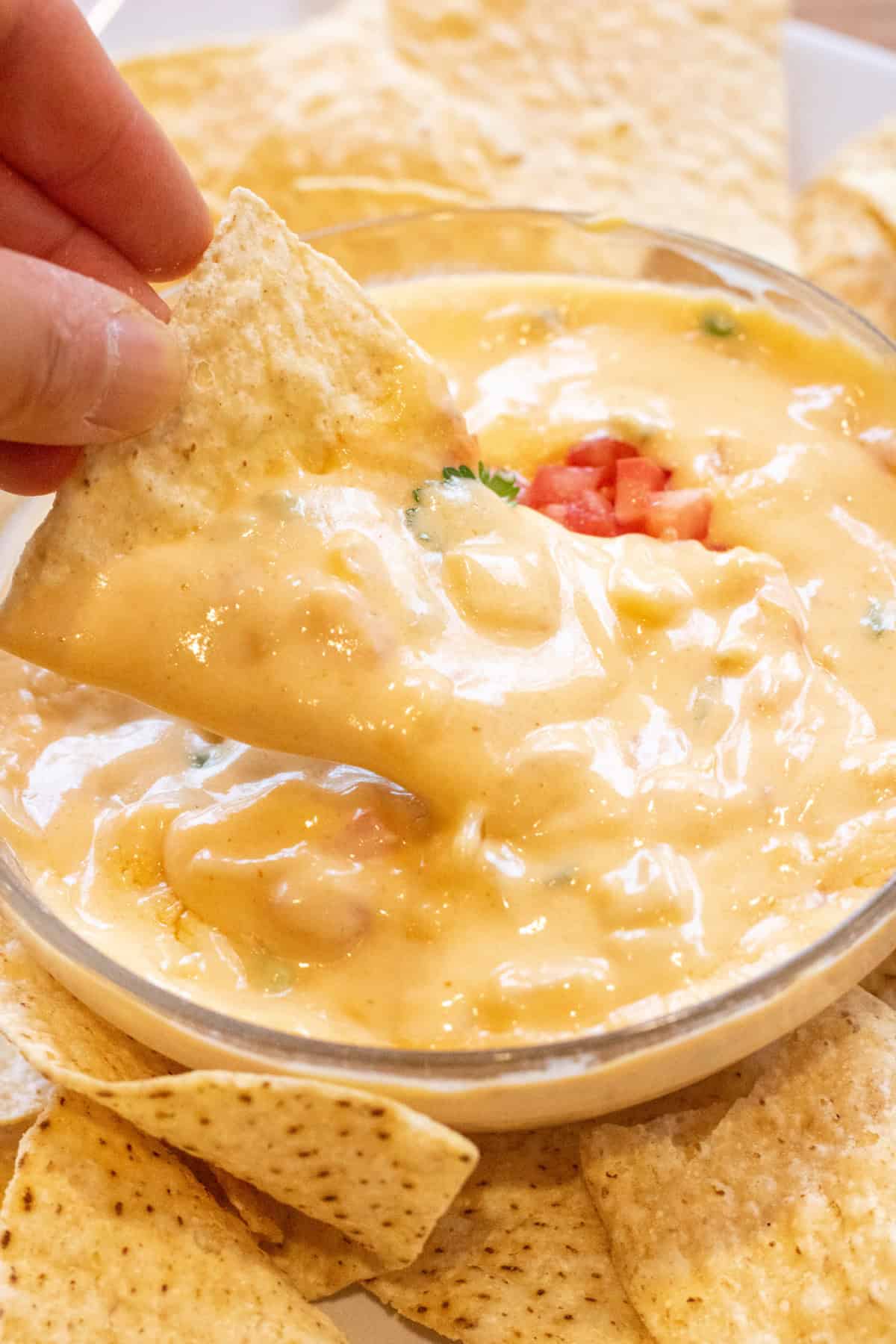 a bowl of creamy queso surrounded chips and with a chip in the bowl.