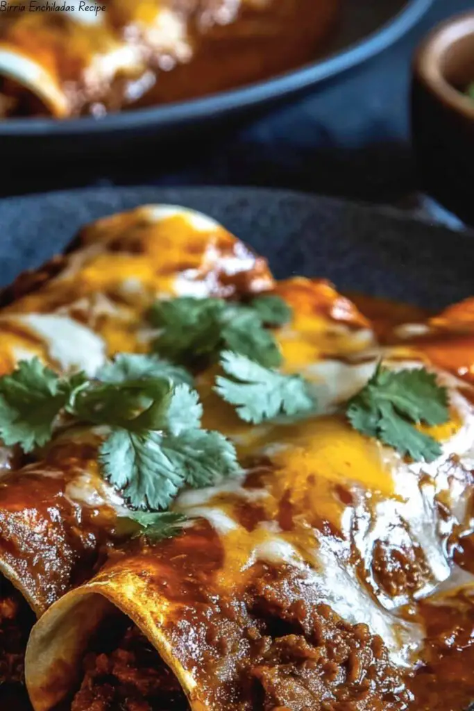 Birria Enchiladas Recipe
