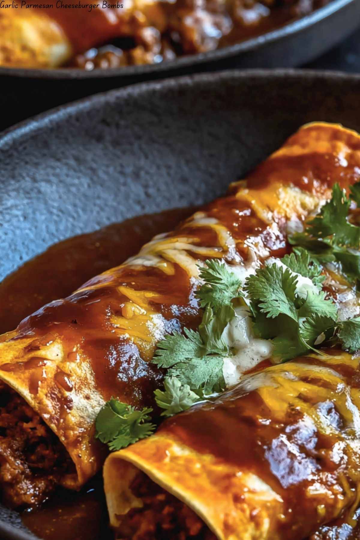 Birria Enchiladas Recipe | JustWorthi
