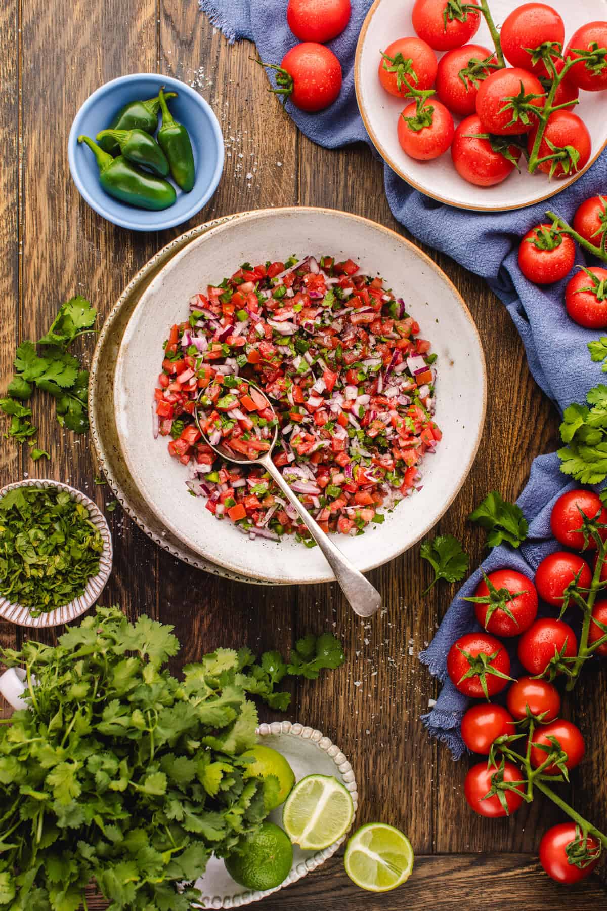 Pico De Gallo Pico De Gallo in a bowl surrounded by fresh produce.