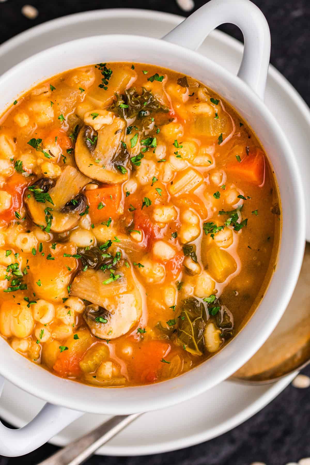 Vegetable Barley Soup Vegetable Barley Soup with Carrots, Mushrooms, Kale, Tomatoes, and Chickpeas - in white bowl.