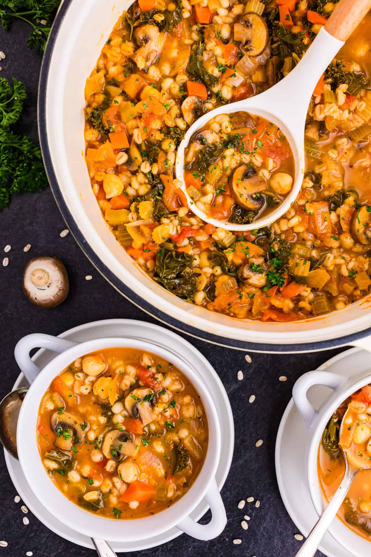 Vegetable Barley Soup Vegetable Barley Soup with Carrots, Mushrooms, Kale, Tomatoes, and Chickpeas - in white soup pot and in a bowl.