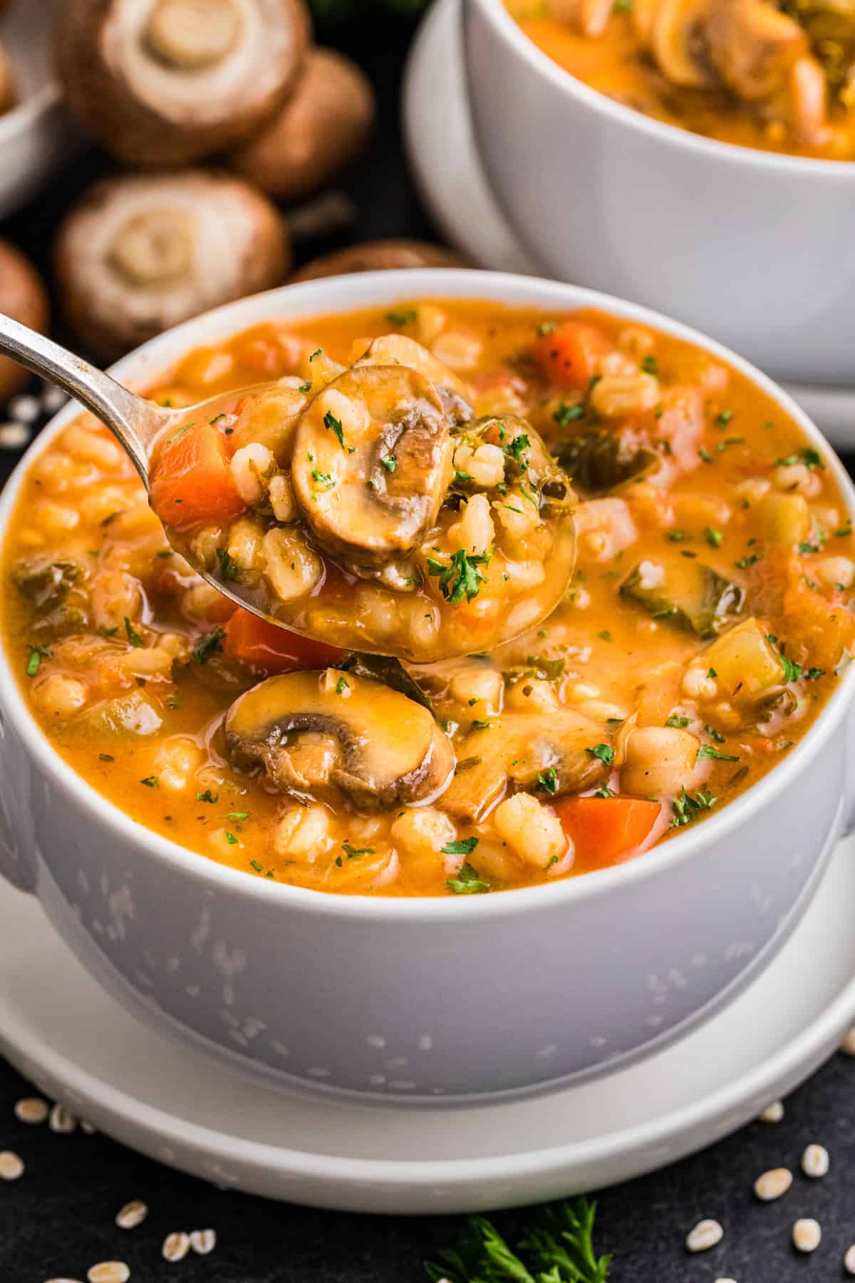 Vegetable Barley Soup Vegetable Barley Soup with Carrots, Mushrooms, Kale, Tomatoes, and Chickpeas - in white bowl.